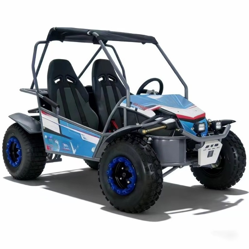 Buggy de Gasolina de 4 Tiempos - Outdoor Adventure Utv reseña y precio